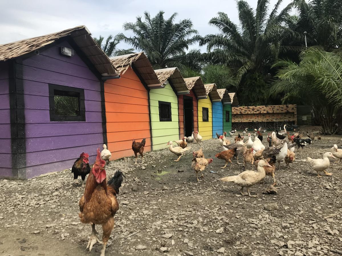 Sinar Eco Resort Kampong Bukit Panjang Екстер'єр фото