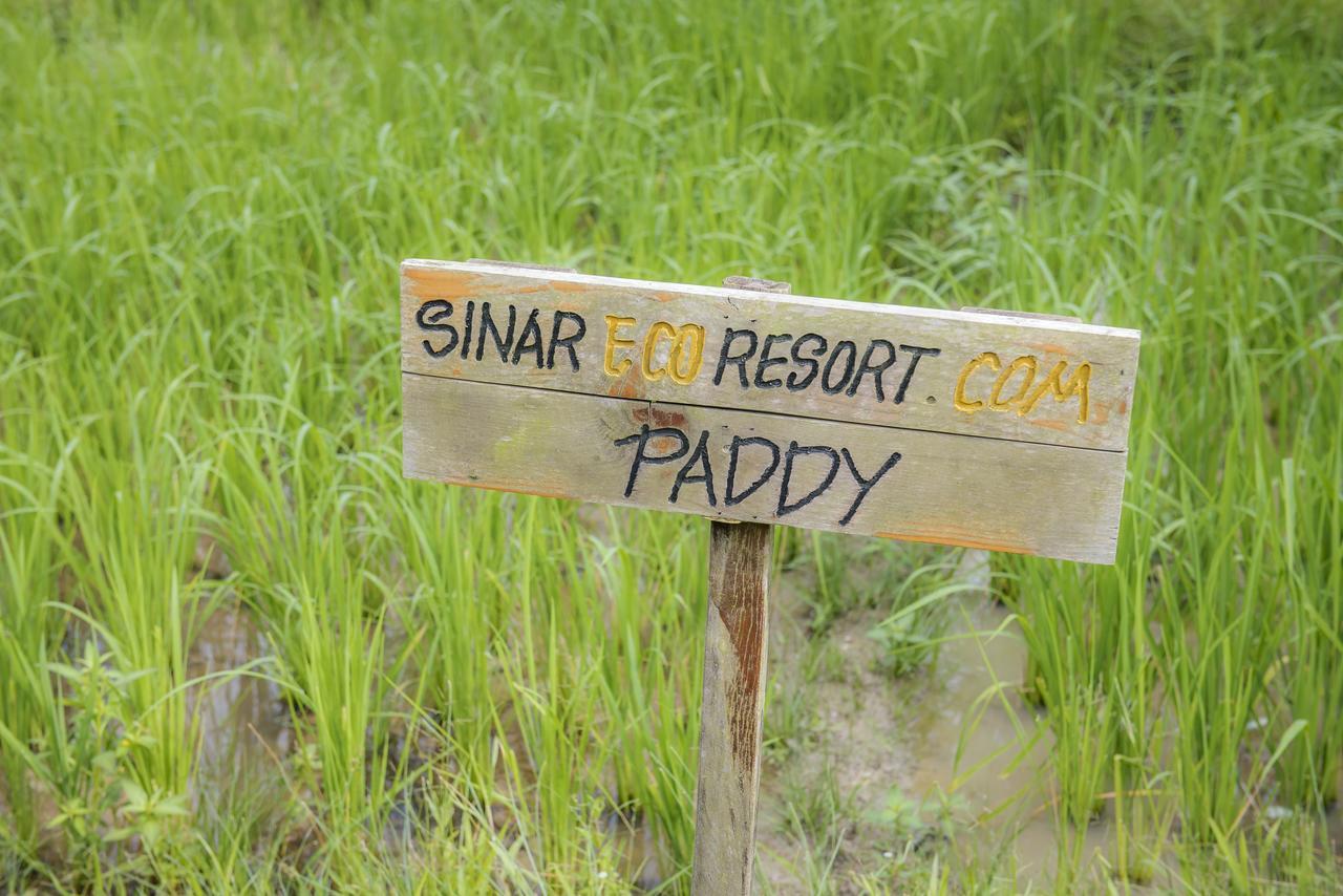Sinar Eco Resort Kampong Bukit Panjang Екстер'єр фото
